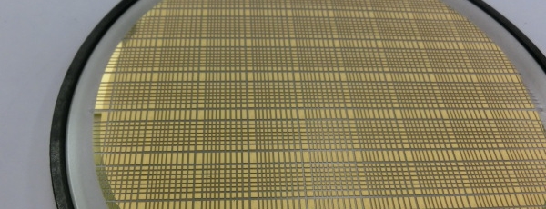 Gold coated SiC wafers